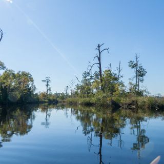 A Canoe trail journey : Ochlockonee trip