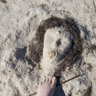 Hanging out at Bald Point State Park. A horseshoe crab. : Ochlockonee trip