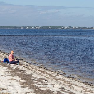 Hanging out at Bald Point State Park. A horseshoe crab. : Ochlockonee trip