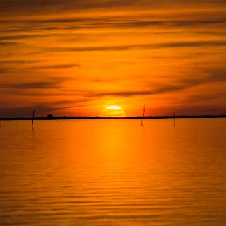 Wrapping  it up with one more sunset at Aligator Harbor. : Ochlockonee trip