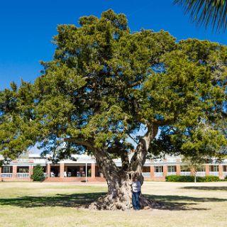 Walking around in St Simons : Camping, Riding, Touring