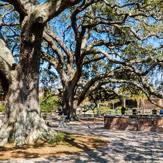 Walking around in St Simons : Camping, Riding, Touring