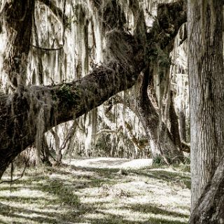 Fort Frederica Natl Monument : Camping, Riding, Touring