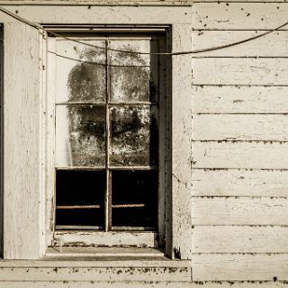 Images along the Georgia salt marshes : Camping, Riding, Touring