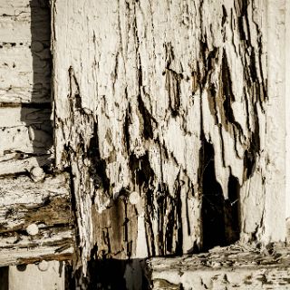 Images along the Georgia salt marshes : Camping, Riding, Touring