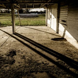 Images along the Georgia salt marshes : Camping, Riding, Touring