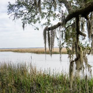 Trails of Fort McAllister : Camping, Riding, Touring