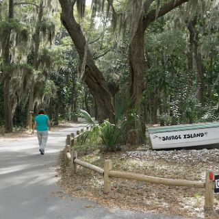 Trails of Fort McAllister : Camping, Riding, Touring