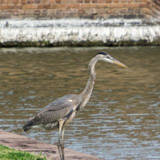 Fort Pulaski National Monument : Camping, Riding, Touring