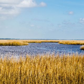 Trails of Fort McAllister : Camping, Riding, Touring