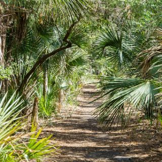 Trails of Fort McAllister : Camping, Riding, Touring