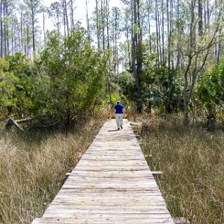 Trails of Fort McAllister : Camping, Riding, Touring