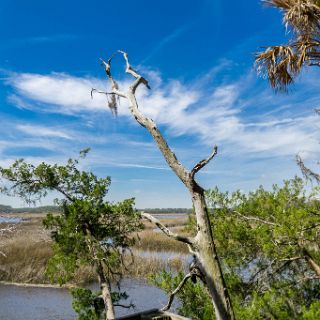 Trails of Fort McAllister : Camping, Riding, Touring