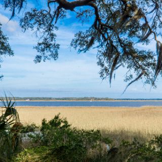 Trails of Fort McAllister : Camping, Riding, Touring