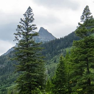 Waterton Lake National park and the town of Wateron Park. : Touring