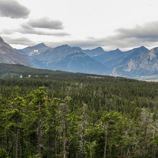 A look back at the Waterton area on our way back to the border. : Touring