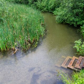 At the Mississppi headwaters. You can wade across it here. Rain, it did! : Touring