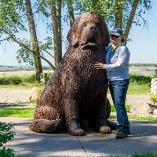 A visit to The Corps of Discovery winter camp of 1804. Lewis's Newfoundland dog : Touring