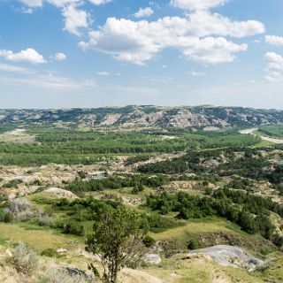 Theodore Roosevelt National Park, North Dakota : Touring