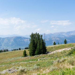 Overlooking Clarks Fork of the Yellowstone : Touring