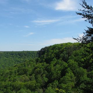 View east into the Savage Gult state wilderness area.